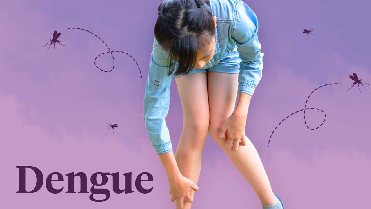 Image for What is Dengue?