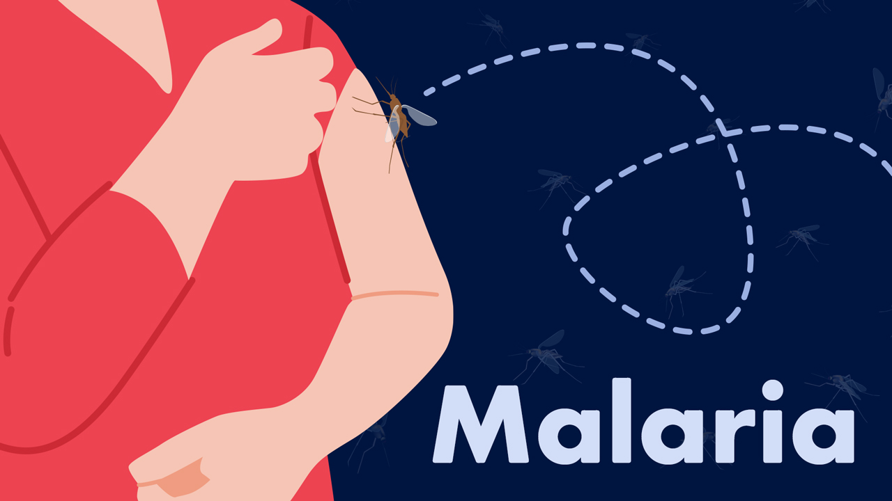 Image for Understanding Malaria: Should Australians be Concerned?
