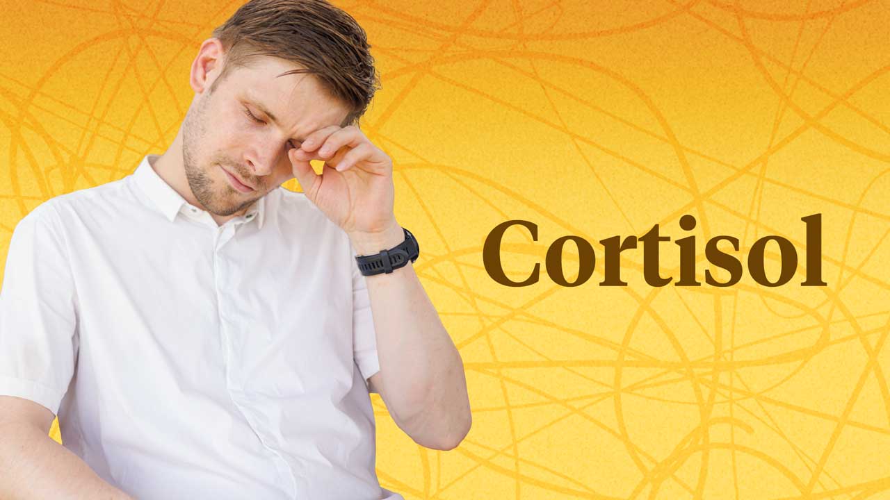 Image for Cortisol Production and Use by the Body