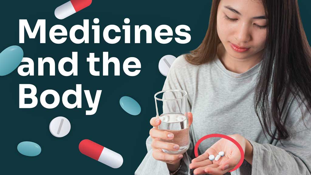 Image for Pharmacokinetics and Pharmacodynamics - Medicines and the Body