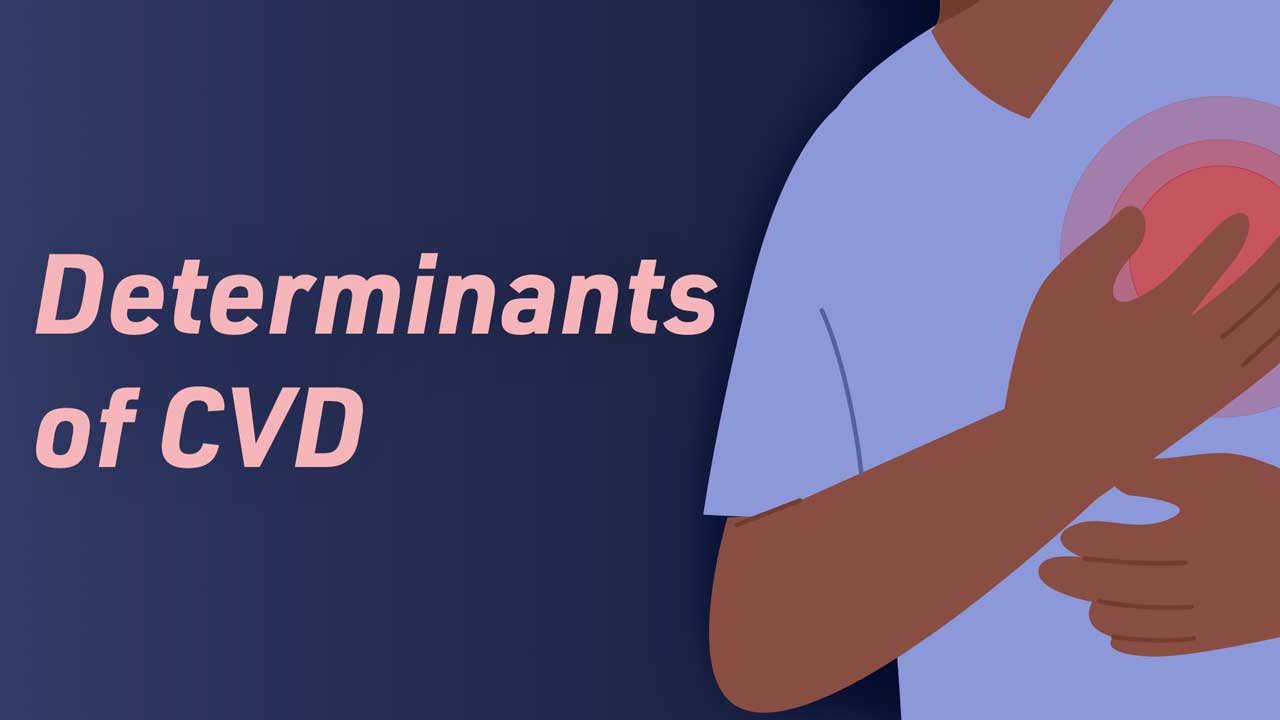 Image for Determinants and Interventions for Cardiovascular Disease (CVD)