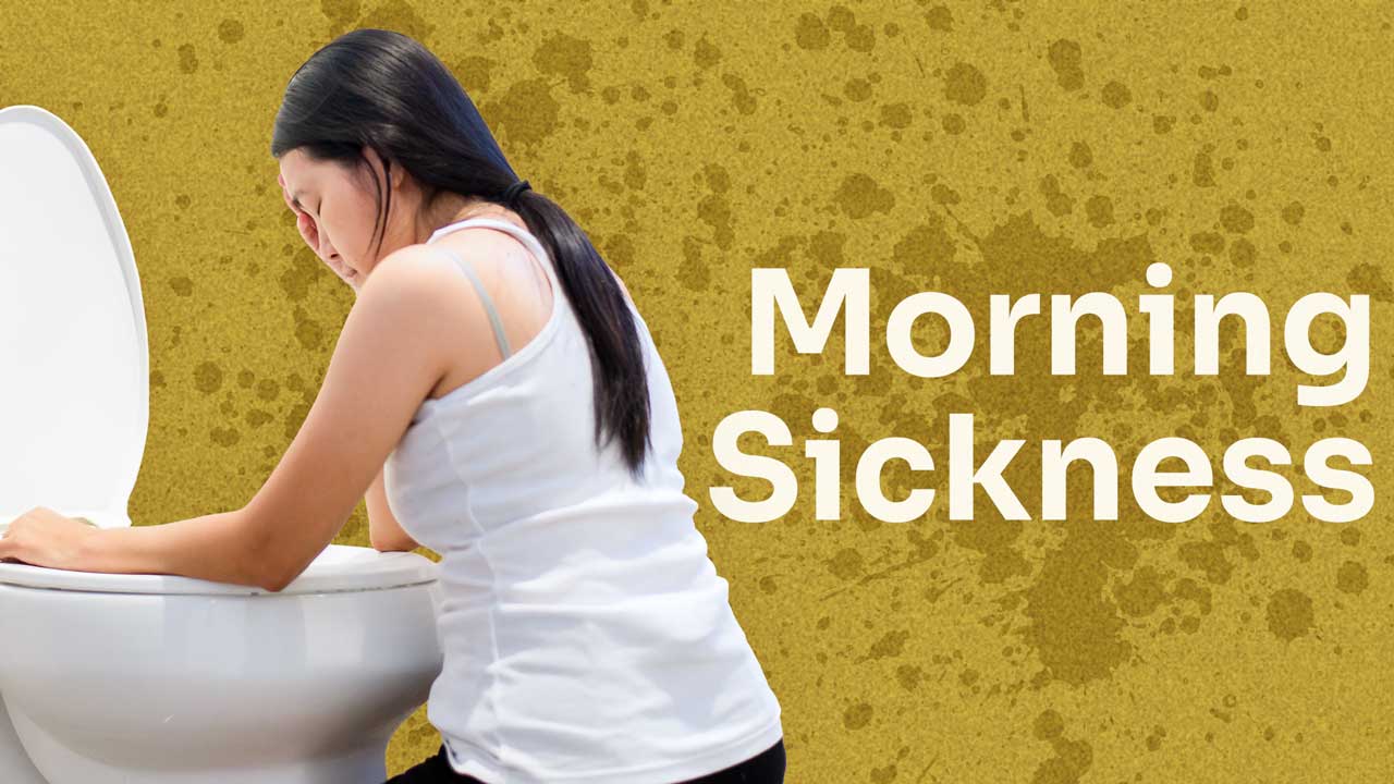 Image for Nausea and Vomiting in Pregnancy (Morning Sickness)