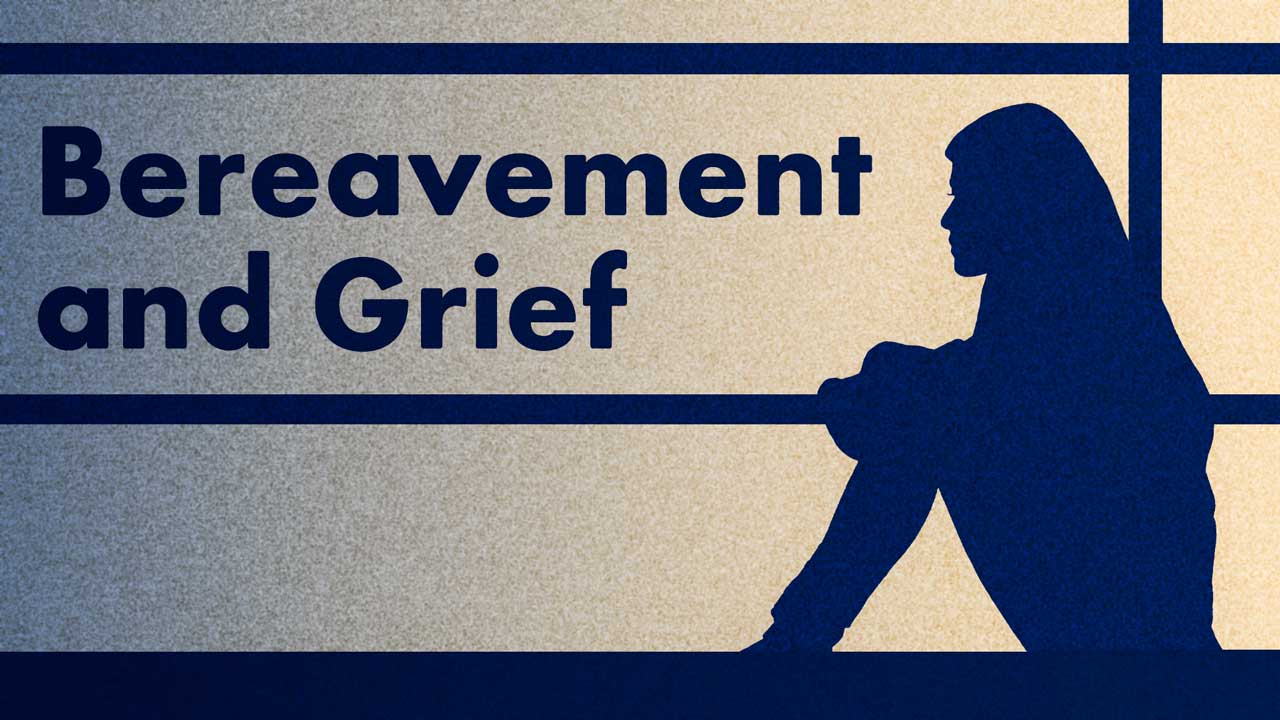 Image for Bereavement and Complicated Grief