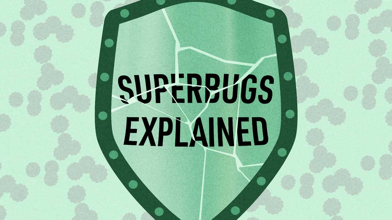 Image for Superbugs: What Are They and How Can They Be Stopped?