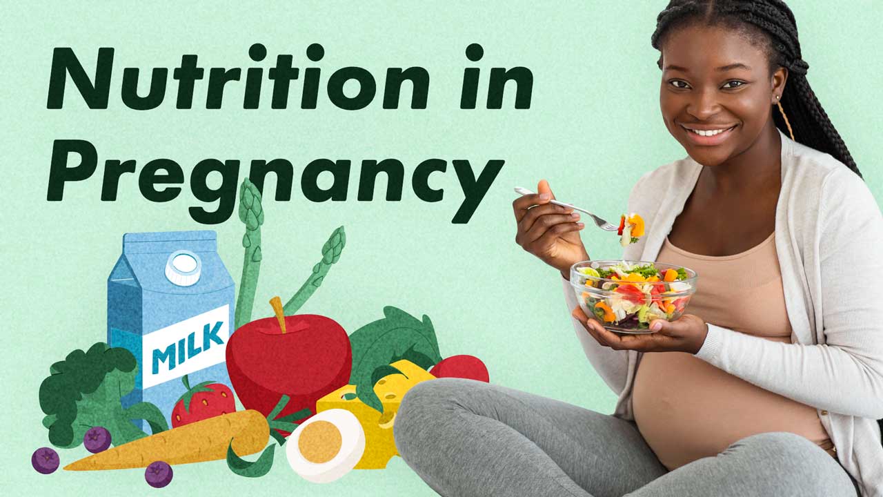 Image for Nutrition in Pregnancy