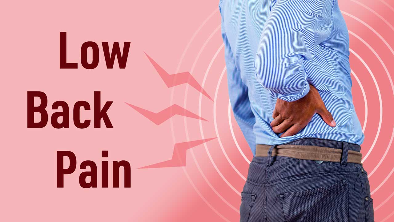 Image for Investigating and Managing Low Back Pain