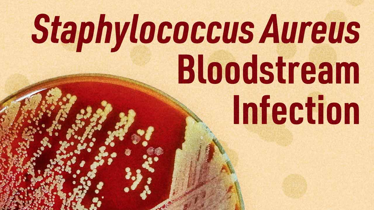 Image for Staphylococcus Aureus Bloodstream Infection (SABSI)