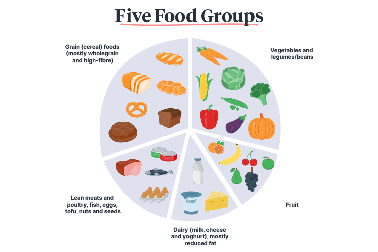 meal planning home care five food groups