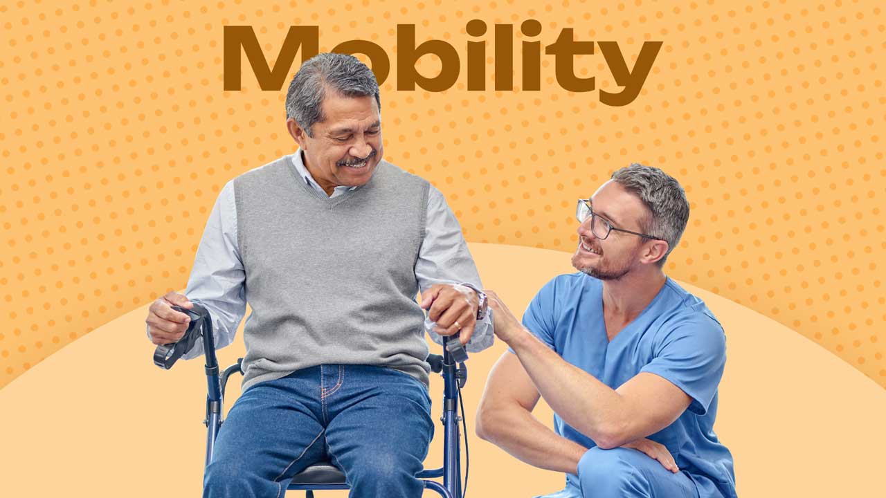 Image for Mobility Issues and Limitations in Home Care