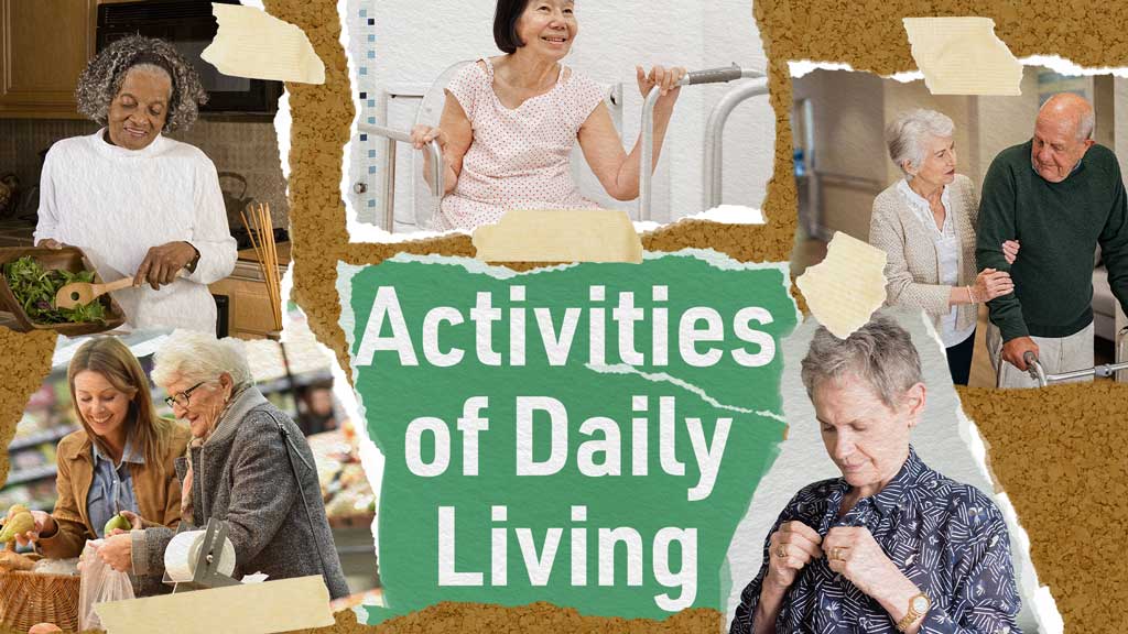 What Are The 12 Daily Activities Of Living