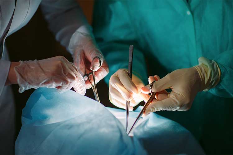 organ transplant surgery