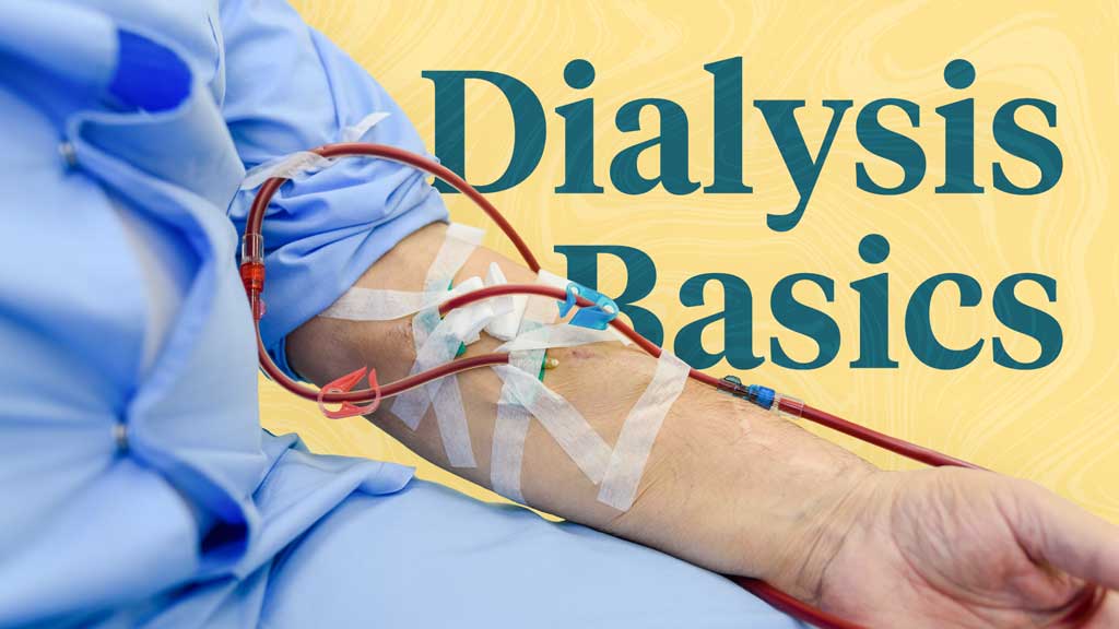 Image for Dialysis Basics