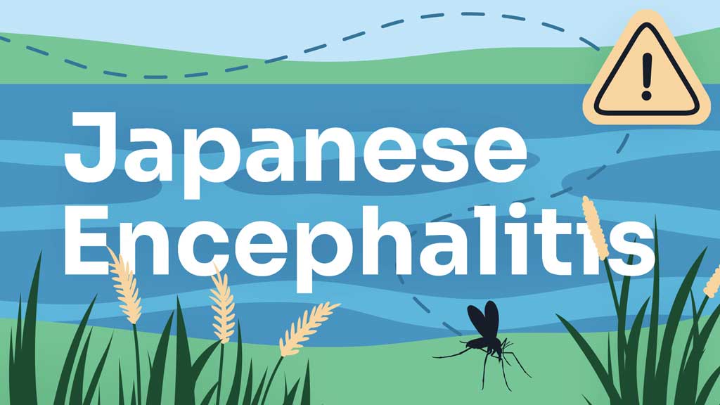 Image for Japanese Encephalitis