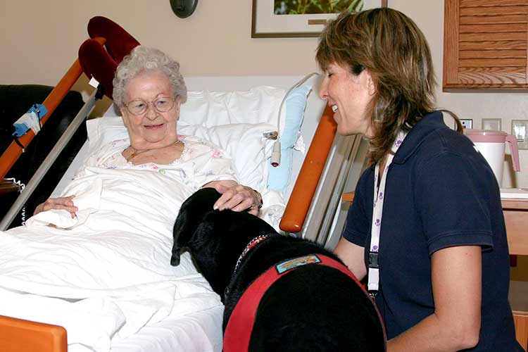 patient petting therapy dog