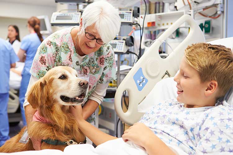 therapy dog greeting patient