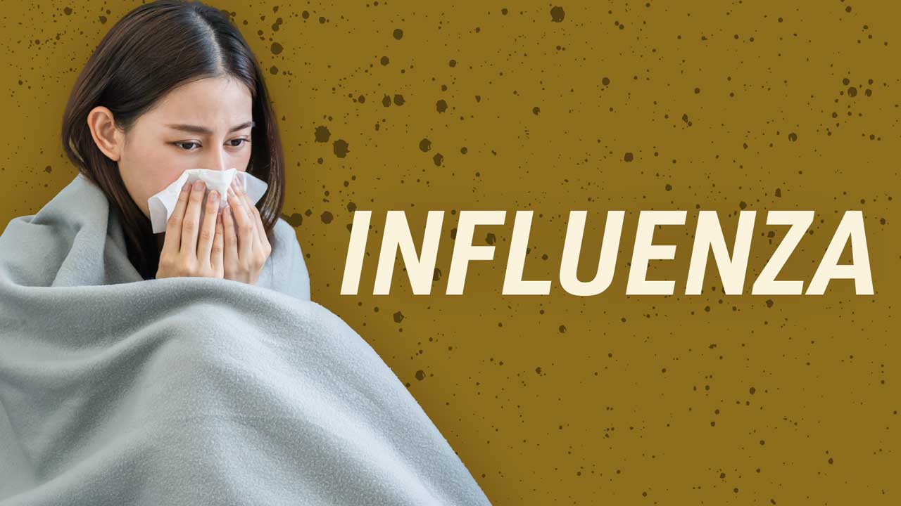 Image for Influenza: Everything You Need to Know This Flu Season