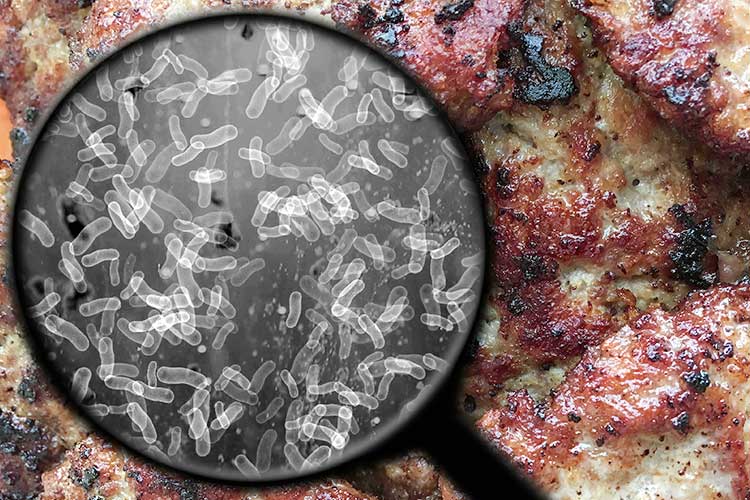 food poisoniing bacteria in meat