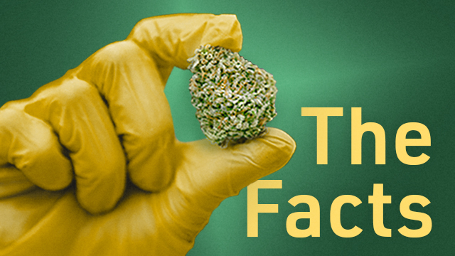 Cover image for: Cannabis: The Facts