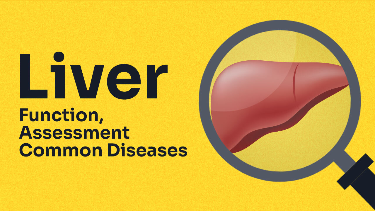 Image for Liver Function, Assessment and Common Diseases