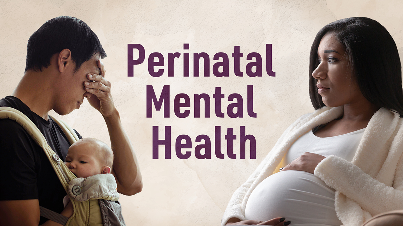 Image for Perinatal Mental Health