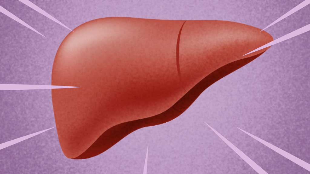 Image for What Does Your Liver Do?