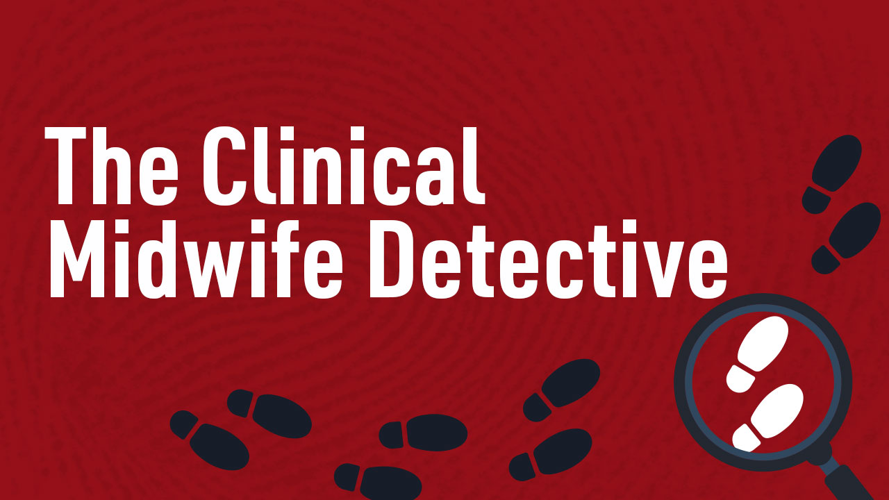 Image for The Clinical Midwife Detective
