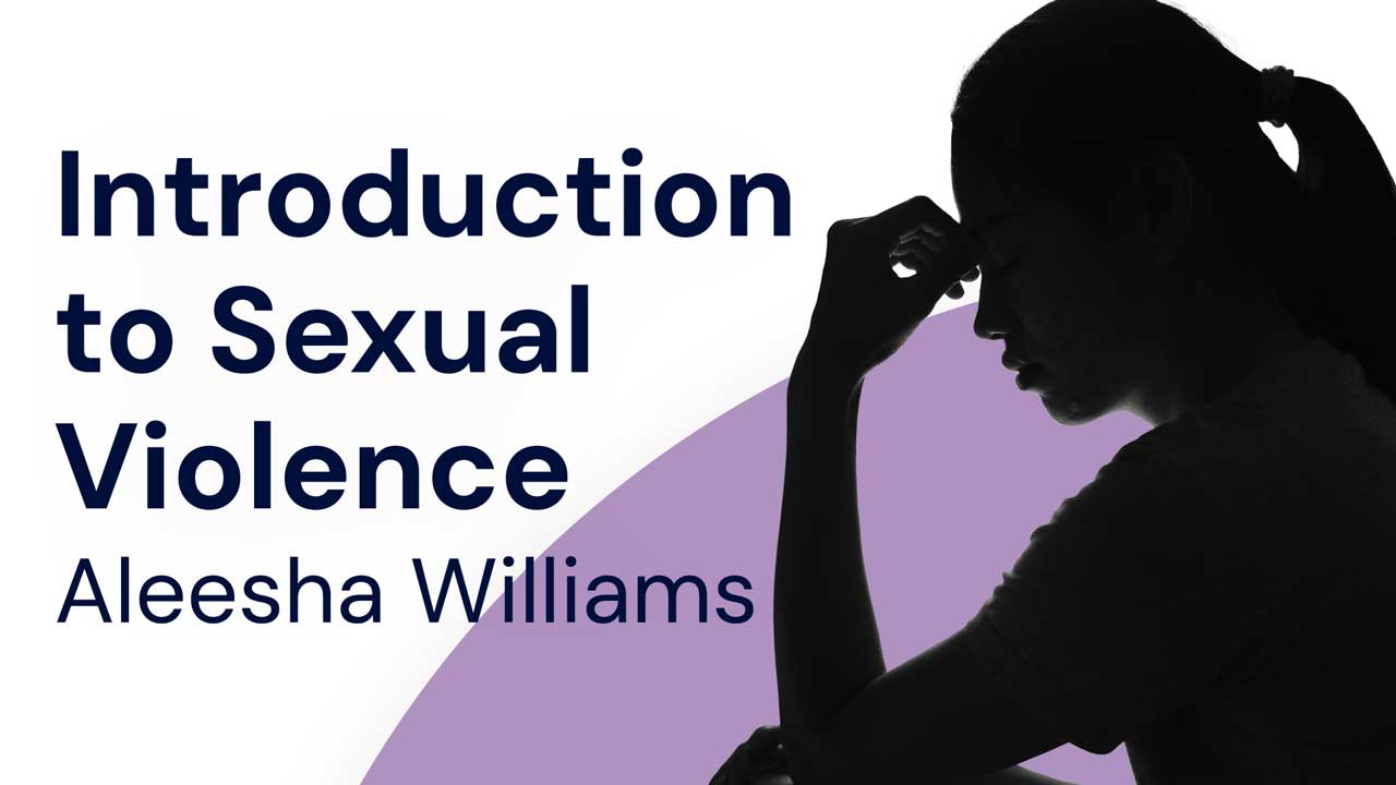 Image for Introduction to Sexual Violence