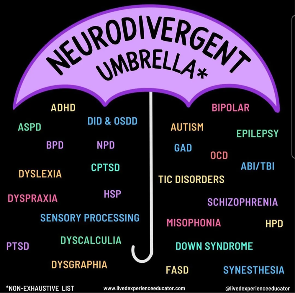 The Neurodivergence Umbrella