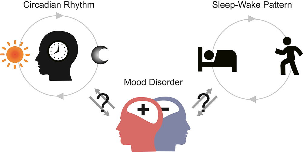 Circadian Rhythm, SLeep-Wake Pattern and Mood Disorder