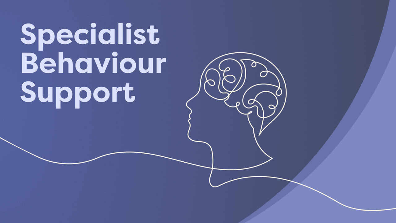 Thumbnail for Specialist Behaviour Support Training Plan Template